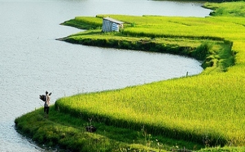 Không ai hiểu con bằng cha